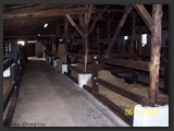 pferdeboxen_stallgasse_stall_ohretal-5